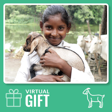 A Goat - Digital Gift Card