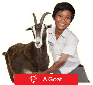 Buy A Goat For Charity - Postal Gift Card