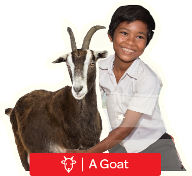 Buy A Goat For Charity - Digital Gift Card