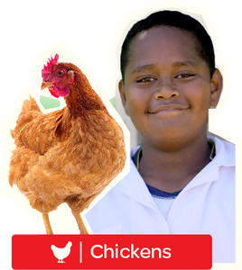 Buy a Chicken for Charity - Digital Gift Card